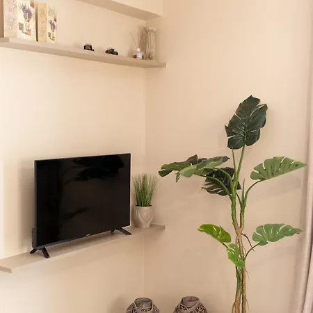 Luxury Memories Lejlighed Paralia Akratas